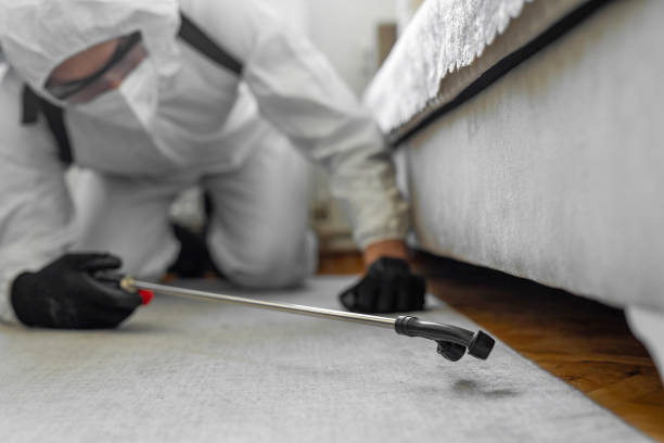 Professional Termite Control technician working in Riddle, OR