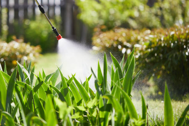 24/7 Emergency Termite Control experts in Riddle, OR